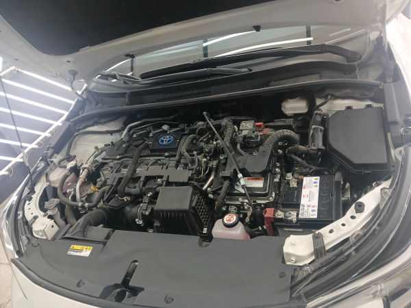 alt-https://media.khodro45.com/public/image/4611ffa3f0e542bf836adbc3fc8b0509_plate_allure