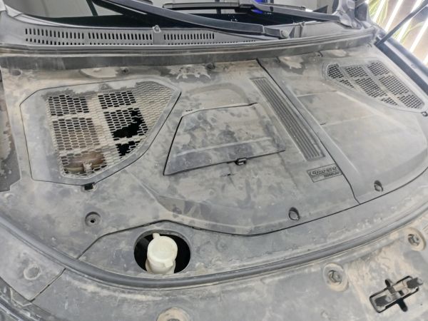 alt-https://media.khodro45.com/public/image/d2051e93fc4c4ac78008226de7a012fd_plate_allure